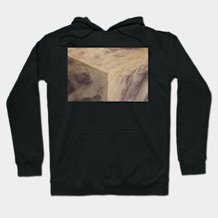 PaintedIntoACorner Hoodie